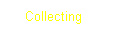 Textfeld: Collecting
